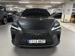 2023 Lexus RX Luxury — фото 13