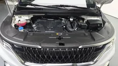 2023 Kia Carnival Gasoline 9-Seater Signature — фото 6