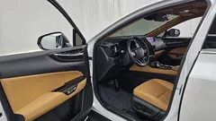 2024 Lexus NX Premium — фото 10