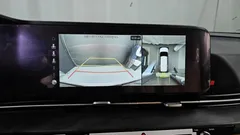 2023 Kia Carnival Gasoline 9-Seater Prestige — фото 16