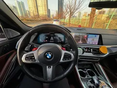 2023 BMW X6 M50i 25th Edition — фото 9