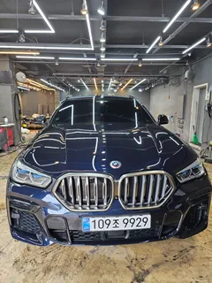 2023 BMW X6 M50i 25th Edition — фото 12