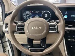 2023 Kia Carnival Gasoline 7-Seater Signature — фото 16