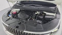 2023 Kia Carnival Diesel 9-Seater Prestige — фото 6