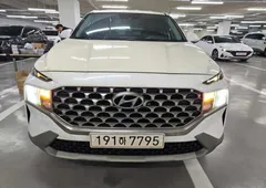 2023 Hyundai Santa Fe Diesel 2.2 2WD — фото 13