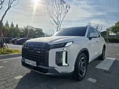 2023 Hyundai Palisade Diesel 2.2 2WD — фото 12