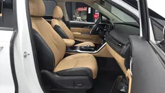 2023 Kia Carnival Gasoline 9-Seater Signature — фото 11