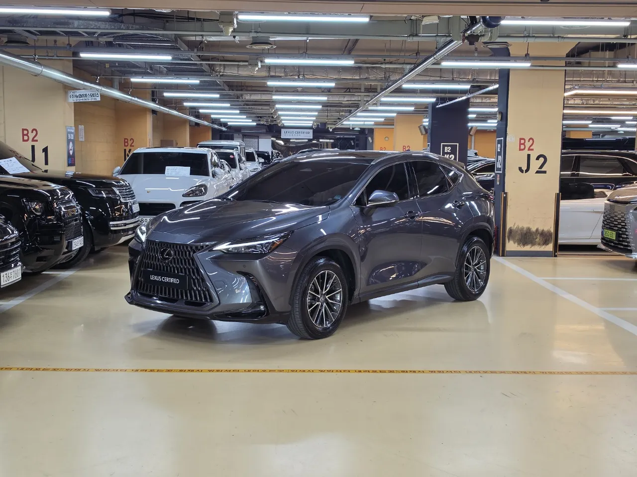 2024 Lexus NX Premium