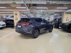 2024 Lexus NX Premium — фото 2