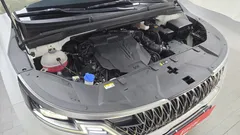 2023 Kia Carnival Gasoline 9-Seater Signature — фото 6
