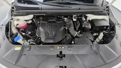2023 Kia Carnival Gasoline 9-Seater Prestige — фото 6