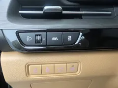 2023 Kia Carnival Diesel 9-Seater Signature — фото 10