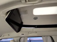 2023 Kia Carnival Gasoline 7-Seater Hi-Limousine — фото 18