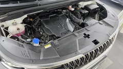 2023 Kia Carnival Gasoline 7-Seater Hi-Limousine — фото 6