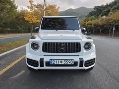 2022 Mercedes-Benz G-Class AMG G63 Magno Hero Edition — фото 3