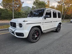 2022 Mercedes-Benz G-Class AMG G63 Magno Hero Edition — фото 12