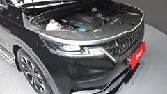 2023 Kia Carnival Diesel 9-Seater Noblesse — фото 6