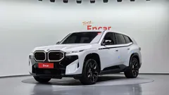 2023 BMW XM 4.4 — фото 11