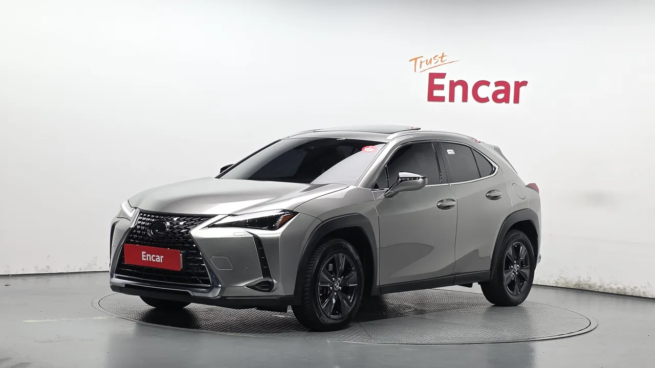 2023 Lexus UX 2.0 2WD
