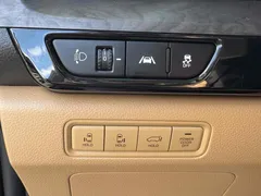 2023 Kia Carnival Gasoline 7-Seater Signature — фото 17