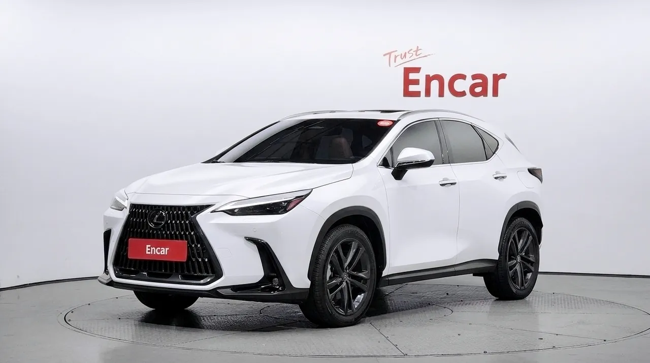 2022 Lexus NX Premium