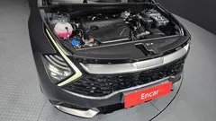 2023 Kia Sportage LPG 2.0 2WD — фото 6