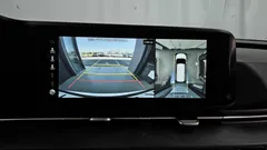 2022 Kia Carnival Diesel 9-Seater Signature — фото 16