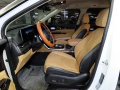 2023 Kia Carnival Gasoline 11-Seater Signature — фото 6
