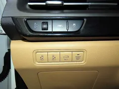 2023 Kia Carnival Gasoline 11-Seater Signature — фото 18