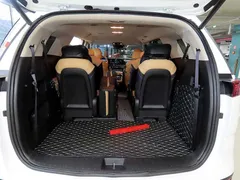 2023 Kia Carnival Gasoline 11-Seater Signature — фото 20