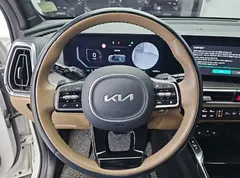 2024 Kia Sorento HEV 1.6 2WD — фото 9
