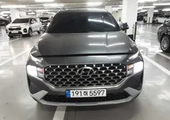 2022 Hyundai Santa Fe Diesel 2.2 4WD — фото 10