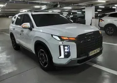 2023 Hyundai Palisade Gasoline 3.8 4WD, белый — фото 8