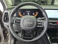 2024 Kia Sorento Gasoline 2.5T 4WD — фото 9