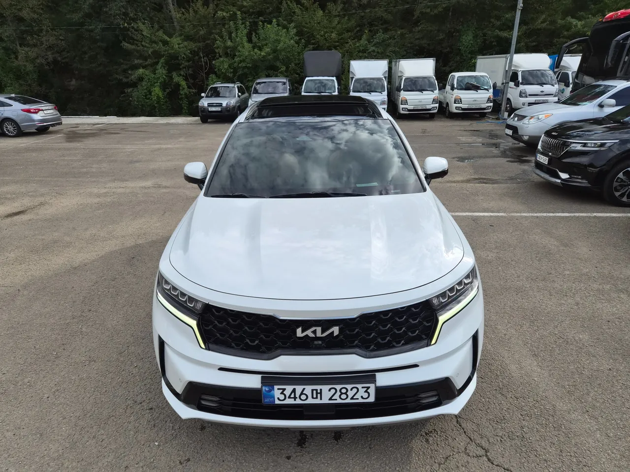 2023 Kia Sorento HEV 1.6 2WD