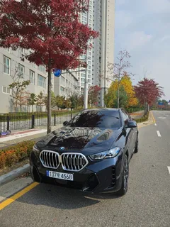 2024 BMW X6 xDrive40i M Sport — фото 2