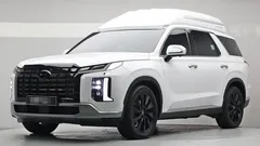 2024 Hyundai Palisade Gasoline 3.8 4WD, белый — фото 13
