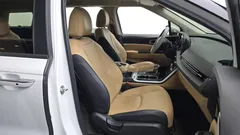 2023 Kia Carnival Diesel 9-Seater Prestige, белый — фото 12