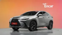 2022 Lexus NX Premium, серо-серебристый — фото 1