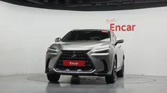 2022 Lexus NX Premium, серо-серебристый — фото 3