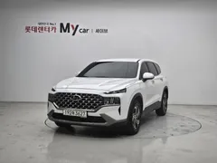 2023 Hyundai Santa Fe Diesel 2.2 4WD, белый — фото 12