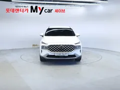2023 Hyundai Santa Fe Diesel 2.2 4WD, белый — фото 8