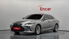2023 Lexus ES Luxury Plus, 연금색 — фото 1