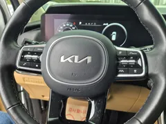 2023 Kia Carnival Diesel 9-Seater Signature, белый — фото 14