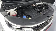 2023 Kia Carnival Gasoline 7-Seater Signature, белый — фото 6