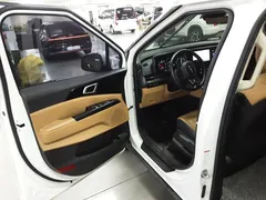 2023 Kia Carnival Diesel 9-Seater Prestige, белый — фото 15