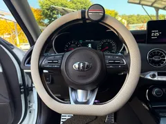 2023 Kia Stinger 2.5 AWD Masters, белый — фото 9