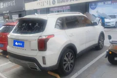 2021 Kia Sportage Ace 2.0L Challenge, белый — фото 9