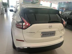 2021 Nissan Murano 2.5L XE 2WD Elite, белый — фото 16