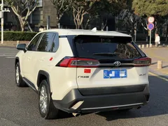 2021 Toyota Wildlander 2.0L 2WD Luxury, белый — фото 7